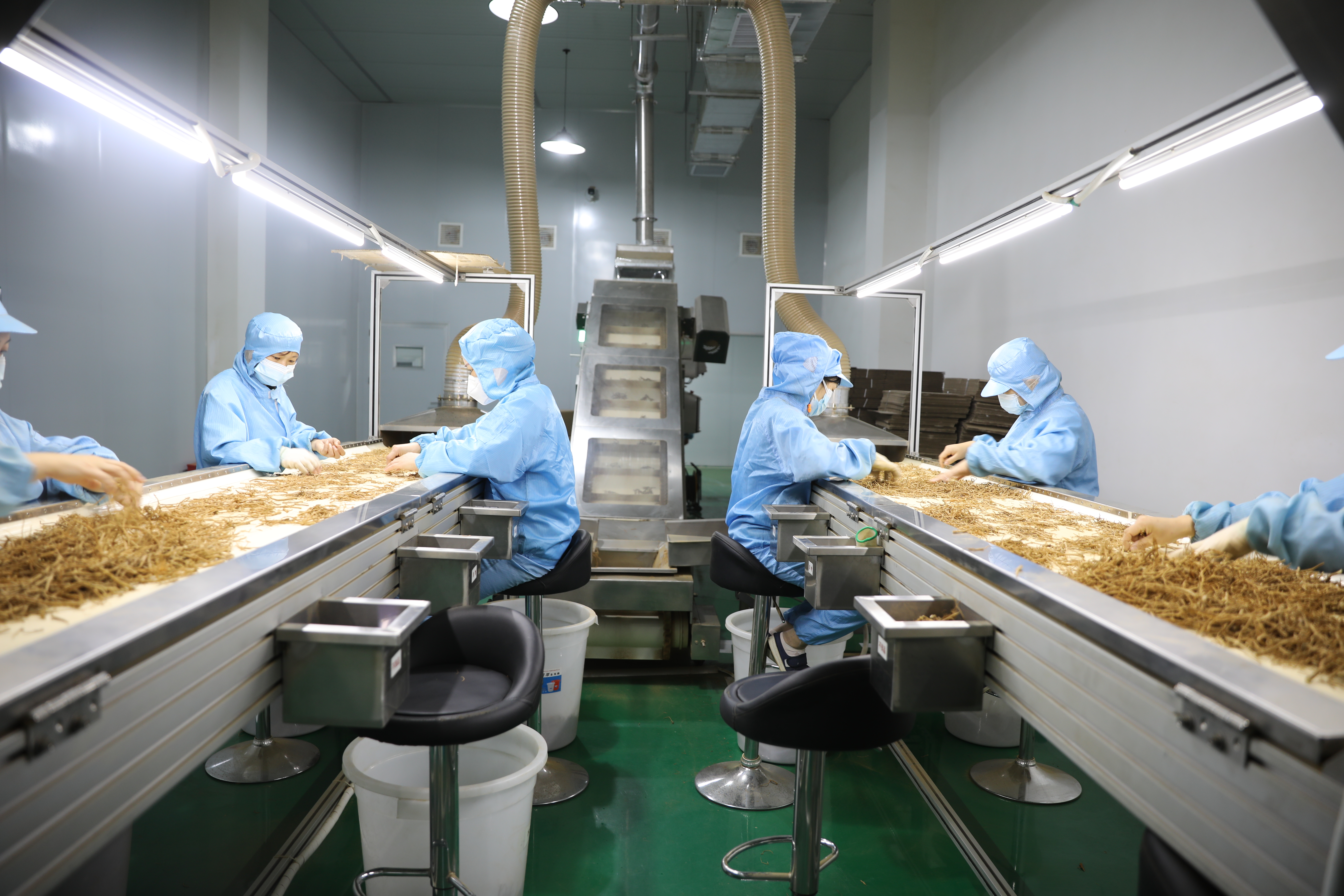 色情网
，中药材原料出口，代用茶，色情网
（湖北）药业有限公司