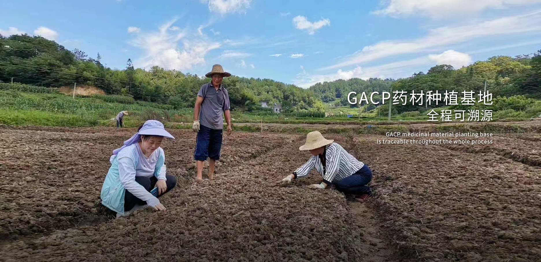 色情网
，中药材原料出口，代用茶，色情网
（湖北）药业有限公司