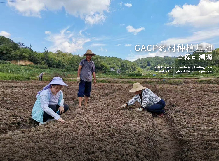 色情网
，中药材原料出口，代用茶，色情网
（湖北）药业有限公司